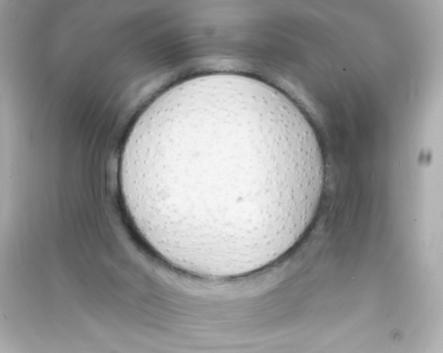 X0000090480014200708102207