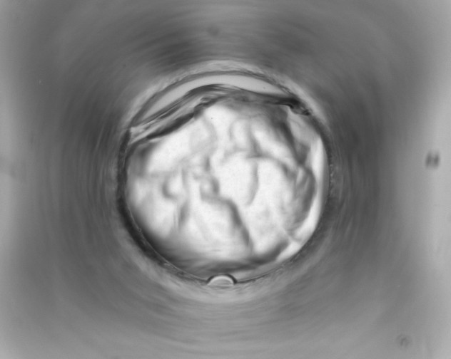 X0000090480015200708102207
