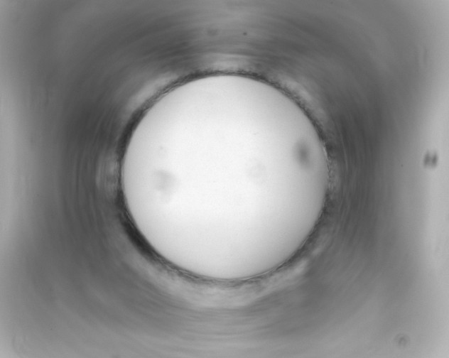 X0000090480016200708102207