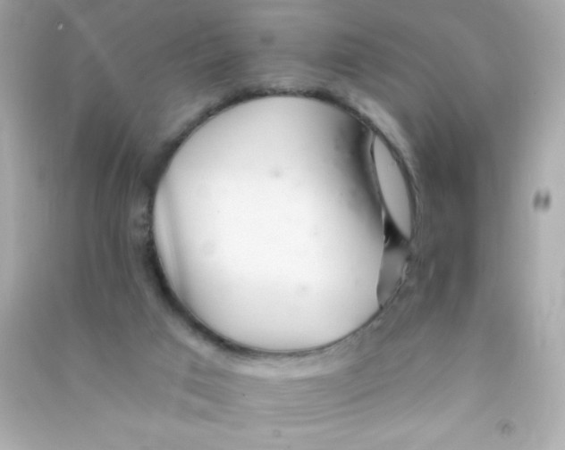 X0000090480017200708102207