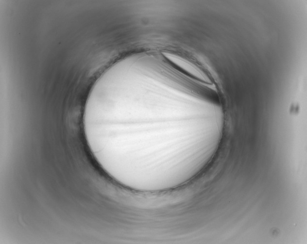 X0000090480018200708102207