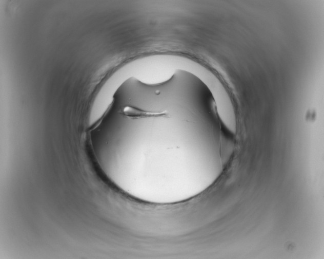 X0000090480019200708102207
