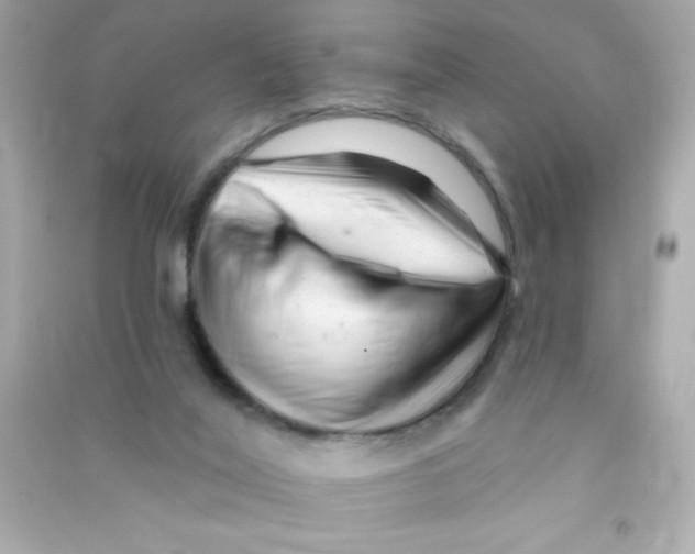 X0000090480020200708102207