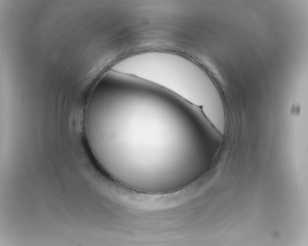 X0000090480023200708102207