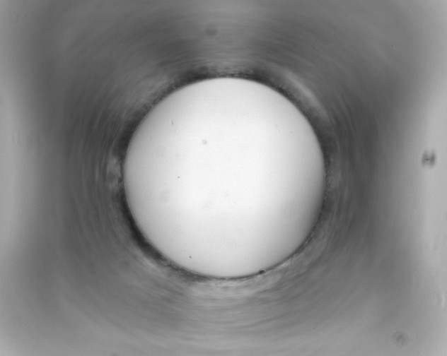 X0000090480025200708102207