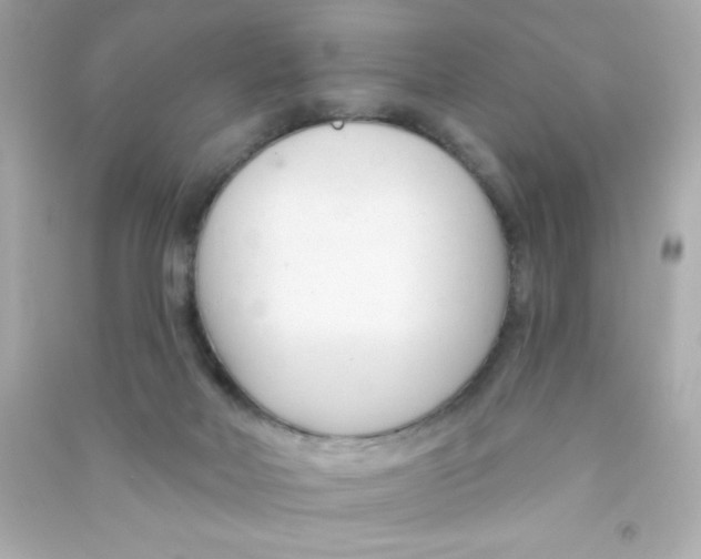X0000090480026200708102206