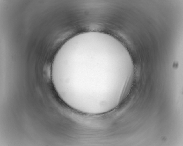 X0000090480028200708102206