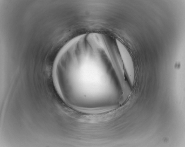 X0000090480033200708102206