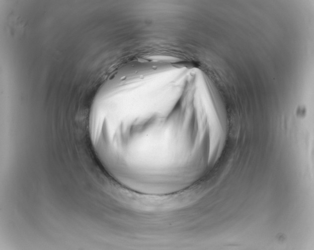 X0000090480034200708102206
