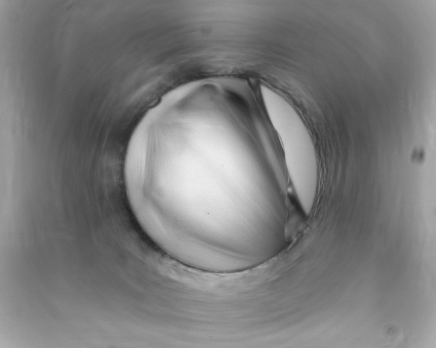X0000090480035200708102206