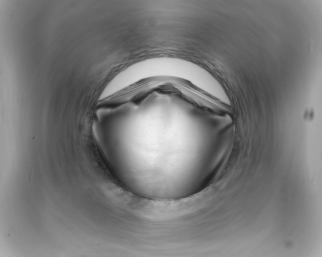 X0000090480037200708102206