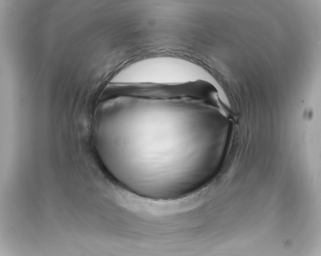 X0000090480039200708102206