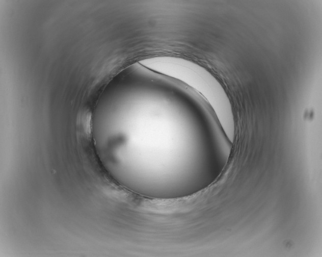 X0000090480041200708102206