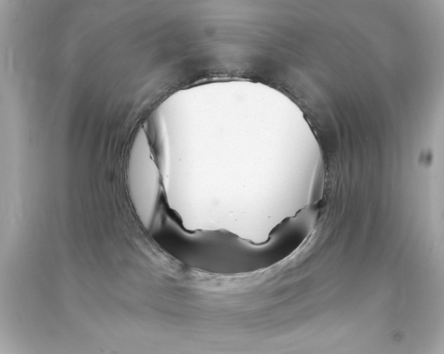 X0000090480045200708102206