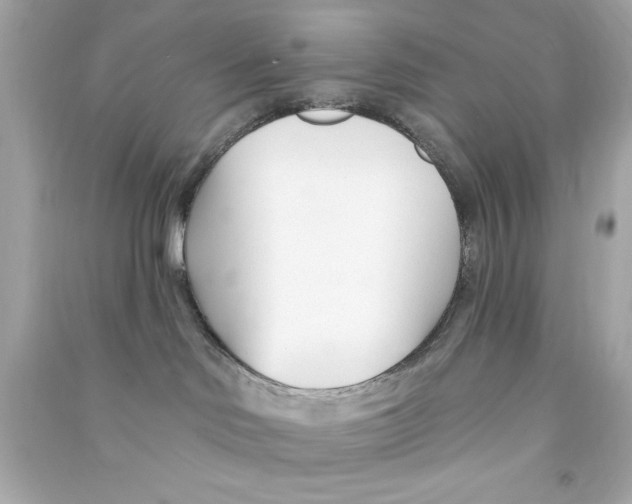 X0000090480046200708102206