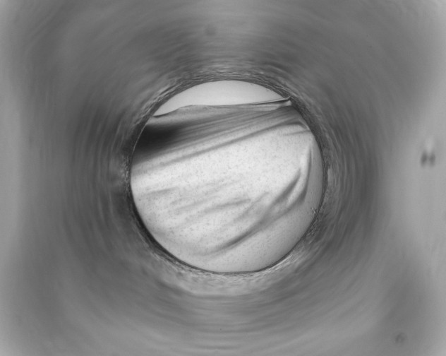 X0000090480048200708102206