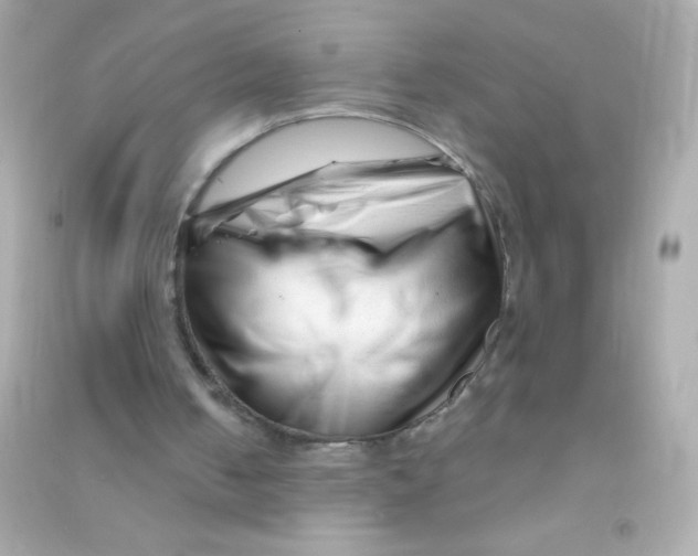X0000090480050200708102206