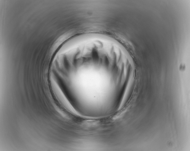 X0000090480051200708102206