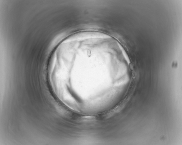 X0000090480053200708102206