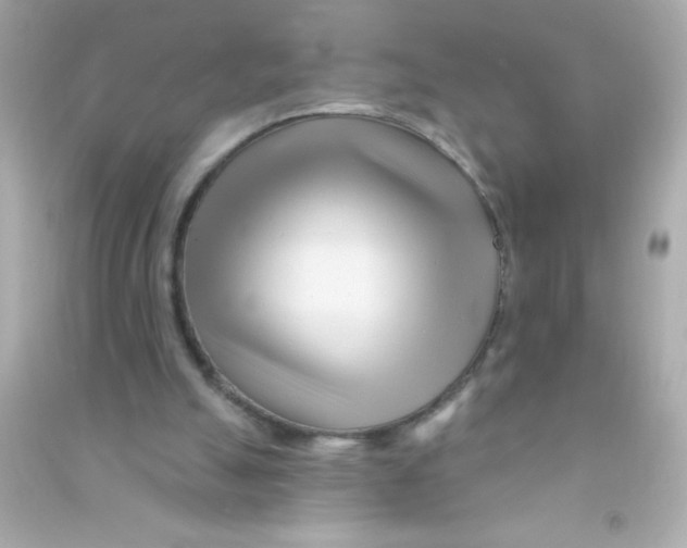X0000090480055200708102206