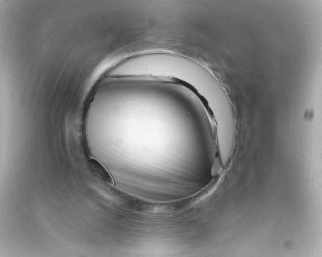 X0000090480056200708102206