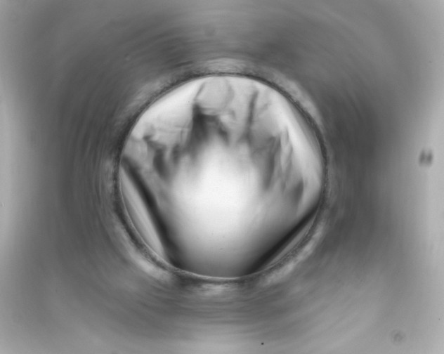 X0000090480057200708102206
