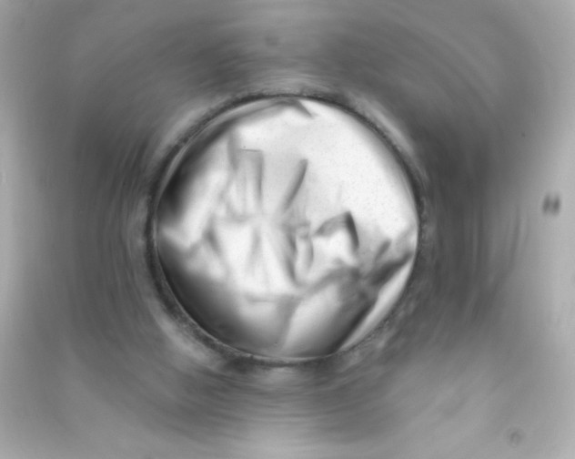 X0000090480058200708102206