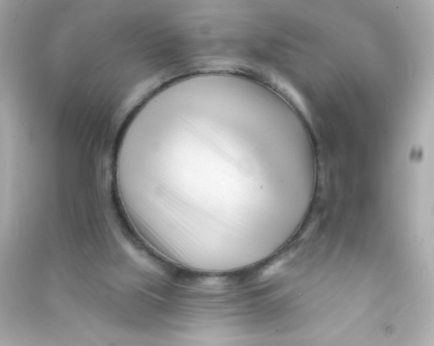 X0000090480059200708102206