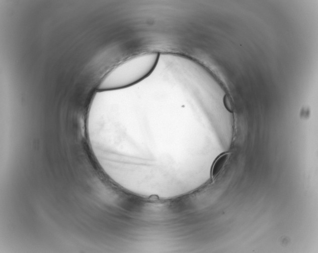X0000090480061200708102206