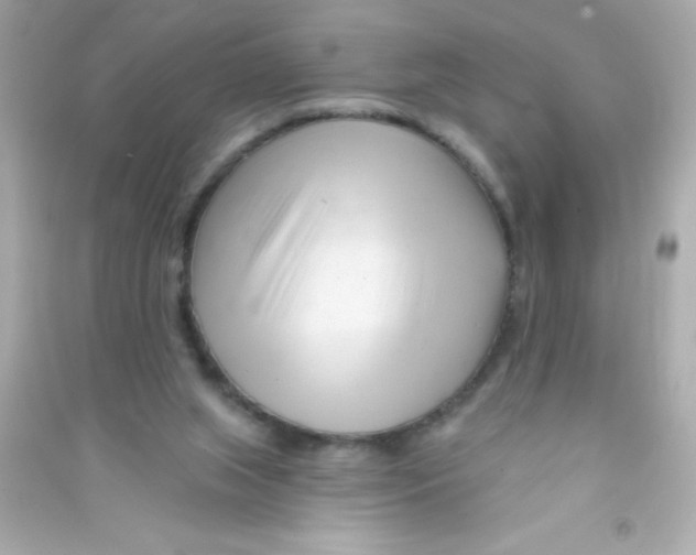 X0000090480063200708102206