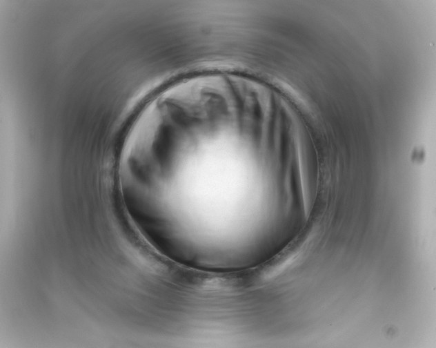 X0000090480064200708102206