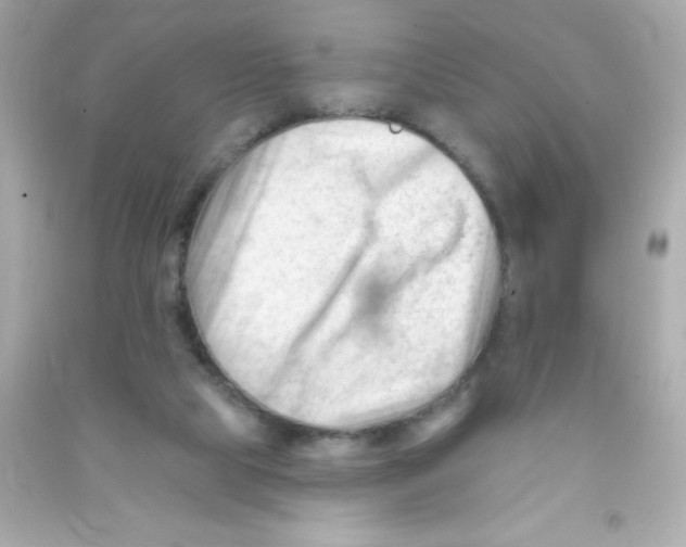 X0000090480065200708102206