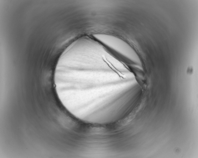 X0000090480066200708102206