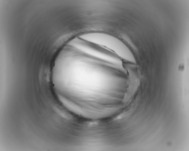 X0000090480068200708102206