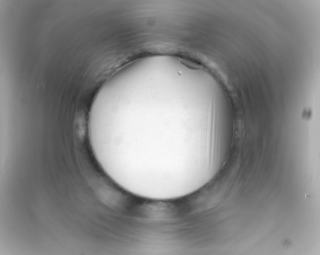 X0000090480069200708102206