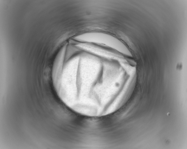 X0000090480071200708102206