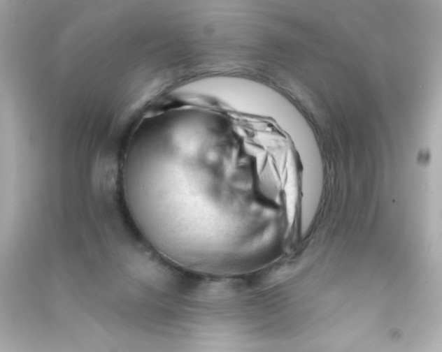X0000090480072200708102206