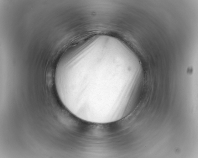 X0000090480074200708102206