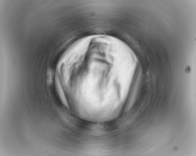 X0000090480075200708102206