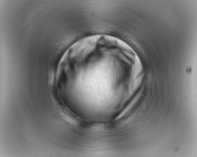 X0000090480076200708102206