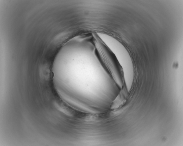 X0000090480080200708102206