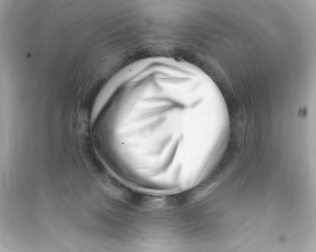 X0000090480083200708102206