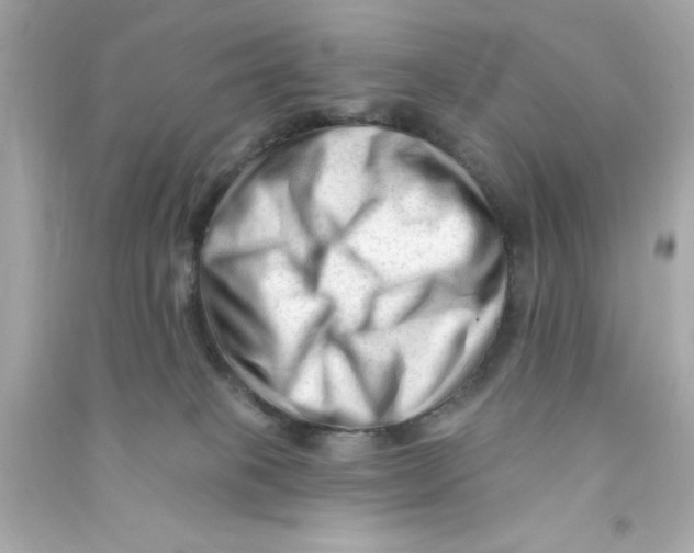 X0000090480085200708102206