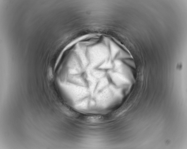 X0000090480089200708102206