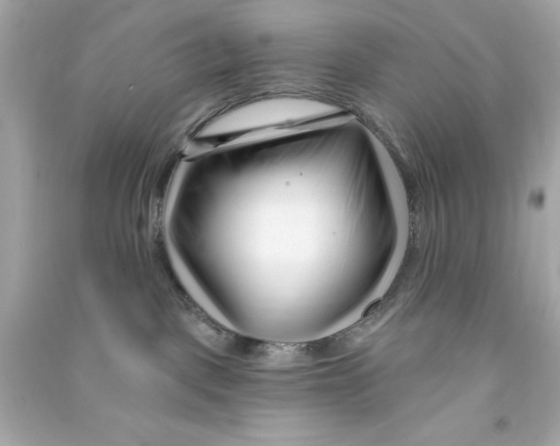 X0000090480093200708102206