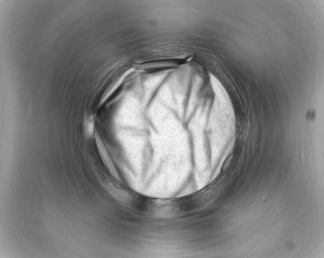 X0000090480095200708102206