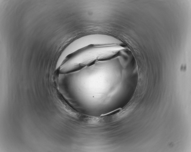 X0000090480096200708102206