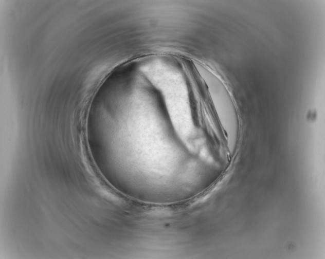 X0000090480097200708102206