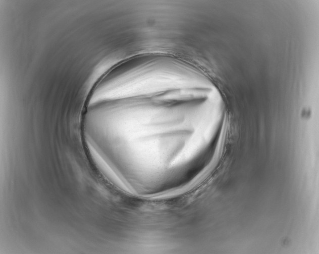 X0000090480099200708102205