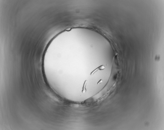 X0000090480100200708102205